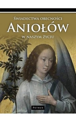 Świadectwa obecności Aniołów - Marian Polak - Ebook - 978-83-61533-63-4