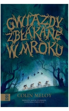 Gwiazdy zbłąkane w mroku - Colin Meloy - Ebook - 9788367551038