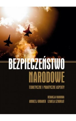 Bezpieczeństwo narodowe. Teoretyczne i praktyczne aspekty - Ebook - 978-83-7467-387-7