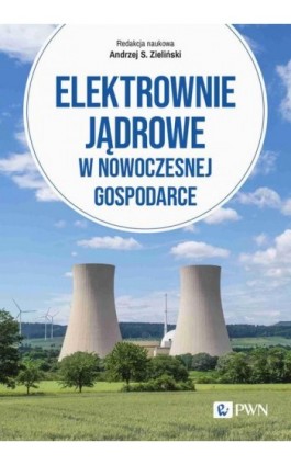 Elektrownie jądrowe w nowoczesnej gospodarce - Ebook - 978-83-01-23353-2