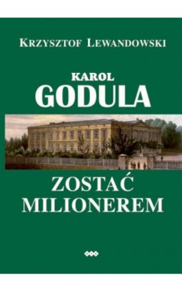 Karol Godula. Zostać milionerem wyd. II - Krzysztof Lewandowski - Ebook - 978-83-8011-390-9