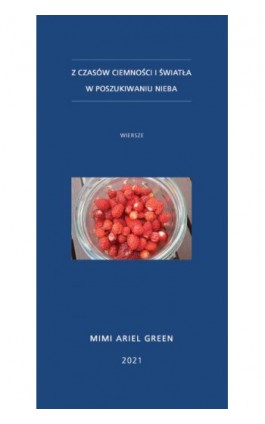 Z czasów ciemności i światła. W poszukiwaniu nieba - Mimi Ariel Green - Ebook - 978-83-8011-146-2