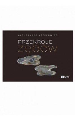 Przekroje zębów - Aleksander Józefowicz - Ebook - 978-83-01-23583-3
