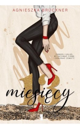 13 miesięcy - Agnieszka Brückner - Ebook - 978-83-8362-526-3
