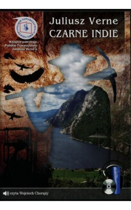 Czarne Indie - Juliusz Verne - Audiobook - 9788361593782