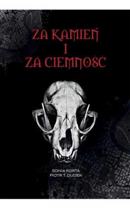 Za kamień i za ciemność - Sonia Korta - Ebook - 978-83-66767-47-8