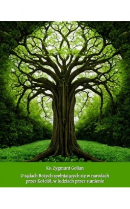 O sądach Bożych spełniających się w narodach przez Kościół, w ludziach przez sumienie - Ks. Zygmunt Golian - Ebook - 978-83-7639-638-5