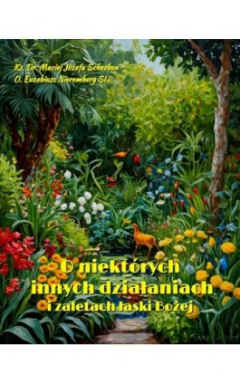 O niektórych innych działaniach i zaletach łaski Bożej - Ks. Dr. Maciej Józefa Scheeben - Ebook - 978-83-7639-639-2