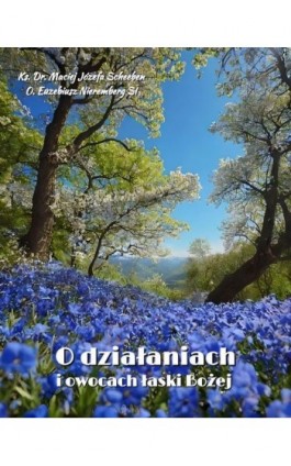 O działaniach i owocach łaski Bożej - Ks. Dr. Maciej Józefa Scheeben - Ebook - 978-83-7639-633-0