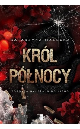 Król północy - Katarzyna Małecka - Ebook - 978-83-8362-701-4