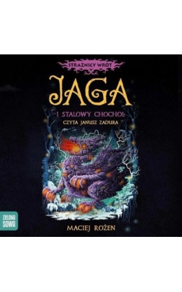 Strażnicy Wrót. Jaga i stalowy chochoł - Maciej Rożen - Audiobook - 978-83-8299-029-4