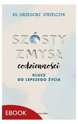 Szósty zmysł codzienności - Ks. Grzegorz Strzelczyk - Ebook - 978-83-277-3431-0