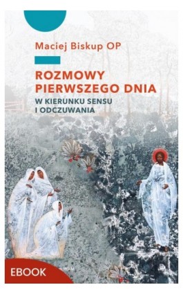 Rozmowy pierwszego dnia - Maciej Biskup - Ebook - 978-83-277-3757-1