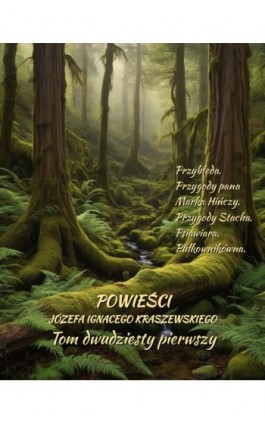 Powieści Józefa Ignacego Kraszewskiego. Tom 21 - Józef Ignacy Kraszewski - Ebook - 978-83-7639-724-5