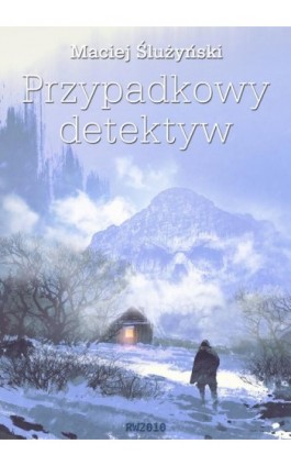 Przypadkowy detektyw - Maciej Ślużyński - Ebook - 978-83-7949-218-3