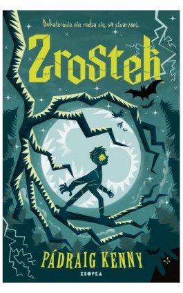 Zrostek - Pádraig Kenny - Ebook - 978-83-68265-14-9