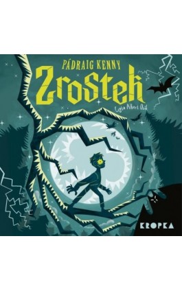 Zrostek - Pádraig Kenny - Audiobook - 978-83-68265-81-1