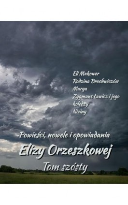 Powieści, nowele i opowiadania Elizy Orzeszkowej. Tom VI - Eliza Orzeszkowa - Ebook - 978-83-7639-748-1