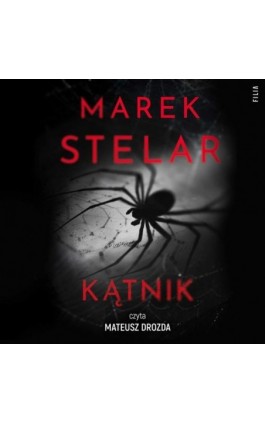 Kątnik - Marek Stelar - Audiobook - 978-83-8402-095-1