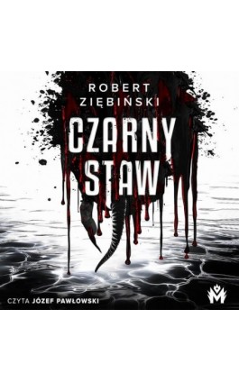 Czarny Staw - Robert Ziębiński - Audiobook - 978-83-68371-26-0