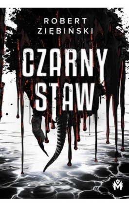 Czarny Staw - Robert Ziębiński - Ebook - 978-83-68371-25-3