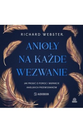 Anioły na każde wezwanie - Richard Webster - Audiobook - 978-83-8417-097-7