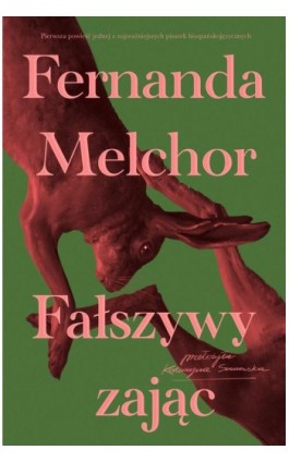 Fałszywy zając - Fernanda Melchor - Ebook - 978-83-8417-072-4