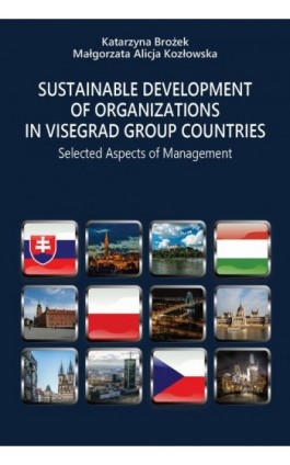Sustainable Development of Organizations Sustainable Development of Organizations - Katarzyna Brożek - Ebook - 978-83-68026-31-3