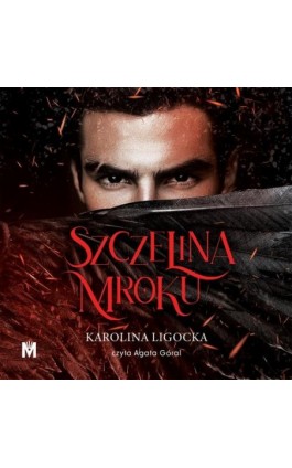 Szczelina mroku - Karolina Ligocka - Audiobook - 978-83-68371-53-6