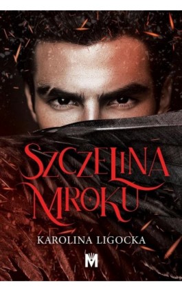 Szczelina mroku - Karolina Ligocka - Ebook - 978-83-68371-52-9