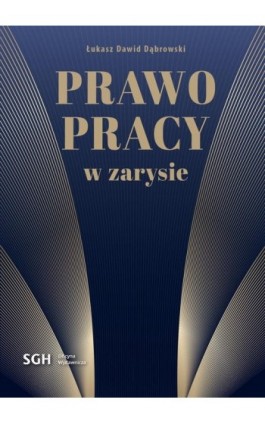 Prawo pracy w zarysie - Łukasz Dąbrowski - Ebook - 978-83-8030-717-9