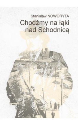 Chodźmy na łąki nad Schodnicą - Stanisław Noworyta - Ebook - 978-83-8011-412-8