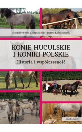 Konie huculskie i koniki...