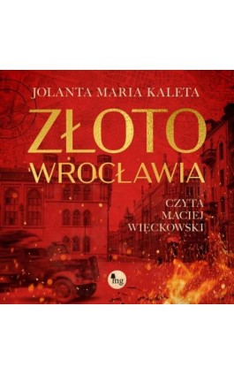 Złoto Wrocławia - Jolanta Maria Kaleta - Audiobook - 978-83-8241-111-9