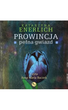 Prowincja pełna gwiazd - Katarzyna Enerlich - Audiobook - 978-83-8241-351-9