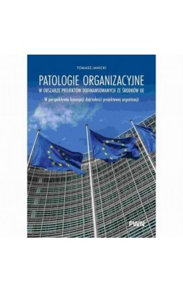 Patologie organizacyjne w...