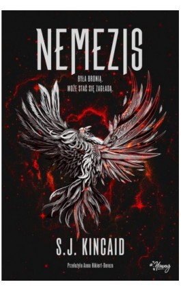 Nemezis. Diabolika. Tom 3 - S.J. Kincaid - Ebook - 978-83-8417-641-2