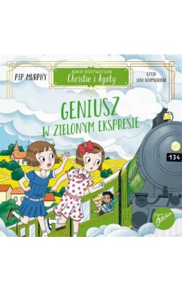 Agencja detektywistyczna...