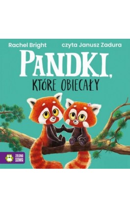 Pandki, które obiecały - Rachel Bright - Audiobook - 978-83-8388-650-3