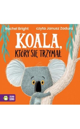 Koala, który się trzymał
