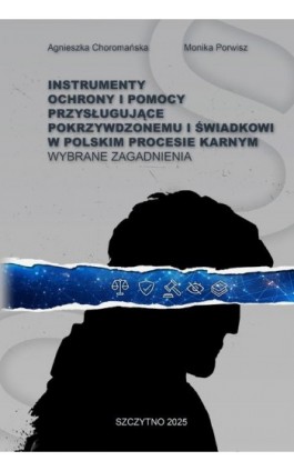 INSTRUMENTY OCHRONY I POMOCY PRZYSŁUGUJĄCE POKRZYWDZONEMU I ŚWIADKOWI W POLSKIM PROCESIE KARNYM. WYBRANE ZAGADNIENIA - Agnieszka Choromańska - Ebook - 978-83-7462-917-1