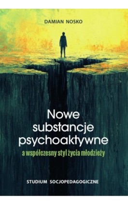 Nowe substancje psychoaktywne a współczesny styl życia młodzieży. Studium socjopedagogiczne - Damian Nosko - Ebook - 978-83-8018-784-9