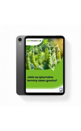 Jakie są optymalne terminy...
