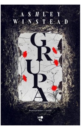 Grupa