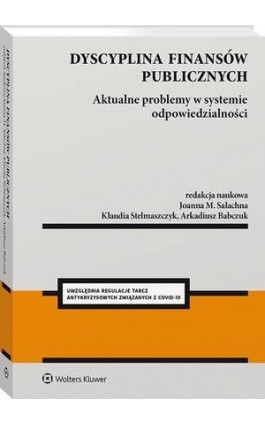 Dyscyplina finansów publicznych. Aktualne problemy w systemie odpowiedzialności - Paweł Borszowski - Ebook - 978-83-8223-089-5