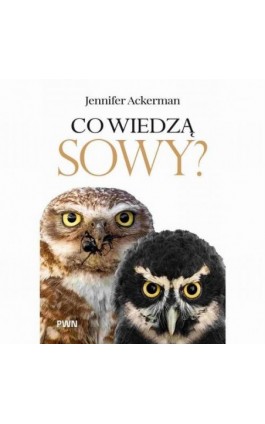 Co wiedzą sowy?
