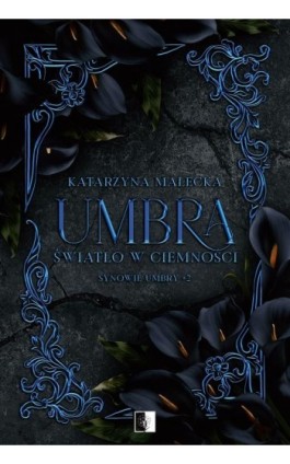 Umbra. Światło w ciemności - Katarzyna Małecka - Ebook - 978-83-8418-914-6