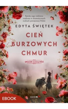 Cień burzowych chmur
