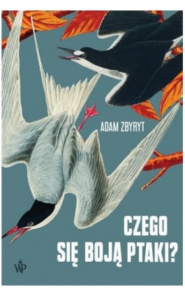 Czego się boją ptaki?