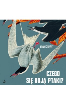Czego się boją ptaki?